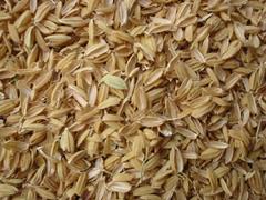 شلتوک برنج برای ریزش مو