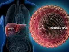 معرفی انواع هپاتیت-راه های انتقال-پیشگیری-طول عمر ویروس در محیط