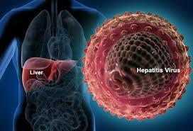 معرفی انواع هپاتیت-راه های انتقال-پیشگیری-طول عمر ویروس در محیط